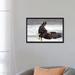 East Urban Home 'Bald Eagle Soaring in a Snow Storm, Alaska Chilkat Bald Eagle Preserve, Alaska, USA' Photographic Print on Canvas, | Wayfair