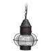 Longshore Tides Allare 1 -Bulb 14.25" H Outdoor Pendant Brass/Glass/Metal in Black | 14.25 H x 9.75 W x 9.75 D in | Wayfair