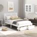 Full Size Wood Platform Bed with 2-Drawer