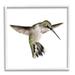 Stupell Industries Green Hummingbird Hovering Wings Flying Bird Beak Giclee Texturized Art Set By Studio Q Canvas in Gray/Green | Wayfair