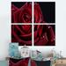 Latitude Run® Red Rose w/ Raindrops On Black - Floral Canvas Wall Art Print 4 Piece Set Canvas in Black/Red | 32 H x 32 W x 1 D in | Wayfair