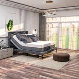 Alwyn Home Renanim Adjustable Bed w/ 14" Memory Foam Mattress, Massage, USB, Remote & App | 29 H x 39 W x 79 D in | Wayfair