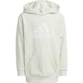 ADIDAS Kinder Kapuzensweat U BOS HD, Größe 128 in Grau