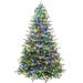 The Holiday Aisle® 7' 5' H Slender Cashmere Christmas Tree in Green | 5.9 W x 21 D in | Wayfair C004E97C1E9F4B3490ECD81FE40236F8