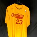 Adidas Shirts | Adidas Lebron James Jersey T Shirt Cavaliers 23 | Color: Gold/Red | Size: Xl