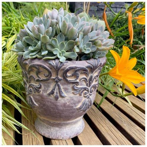 K&l Wall Art - Barock Amphore Beton Blumentopf Vintage Übertopf Garten Balkon Küche ø 20cm
