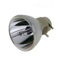 HD141X Lamp Bulb SP.8VH01GC01 / MC.JH111.001 / MC.JPV11.001 / BL-FP190E MC.JN811.001 Replacement Projector Lamp Bulb for Optoma HD141X HD26 H5380BD GT1080 H6517ABD X115H X125H Projector Bulb