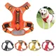 SFP réglable pour chiens moyens et grands coulée sans côtes gros chien accessoires pour chiens