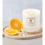 Orange Blossom Candle, Candles by Harry & David