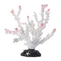 RENJIELI 1Pc Polyresin Coral Ornaments, Fish Tank Aquarium Decoration 6.69" X6.89" (Color : White) little surprise