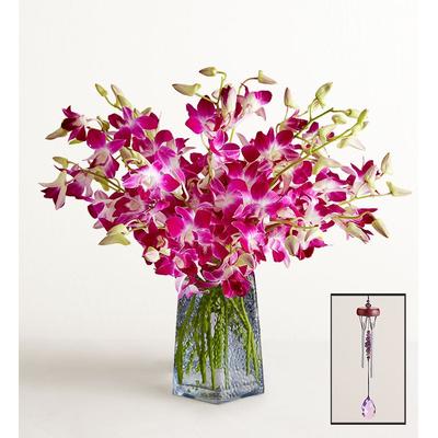 1-800-Flowers Flower Delivery Exotic Breeze Orchids 20 Stems W/ Blue Vase & Windchime | Send The Gift Of Flowers