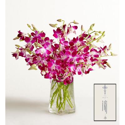 1-800-Flowers Flower Delivery Sympathy Orchids 20 Stems W/ Clear Vase & Windchime | Happiness Delivered To Their Door