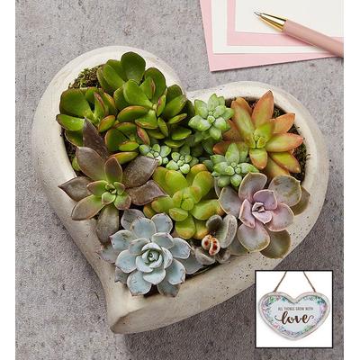1-800-Flowers Everyday Gift Delivery Sweet Succulent Heart Garden Large W/ Plaque | Same Day Delivery Available
