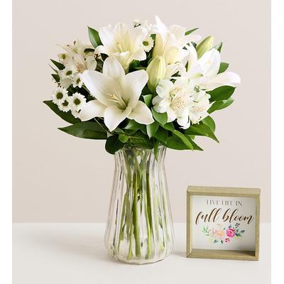 1-800-Flowers Birthday Delivery White Lily Bouquet W/ Clear Vase & Sign