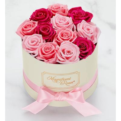 1-800-Flowers Flower Delivery Magnificent Roses Preserved Delightful Medley Magnificent Roses Medley One Dozen