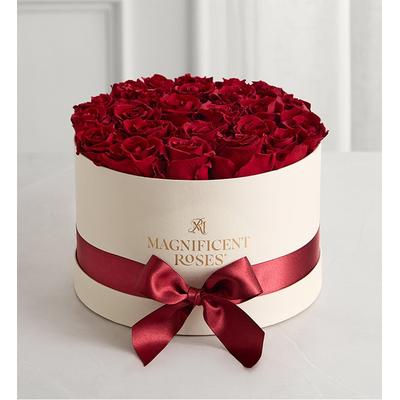 1-800-Flowers Flower Delivery Magnificent Roses Preserved Cabernet Roses Exclusive Preserved Premier