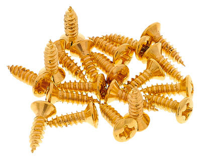 Göldo Pickguard Screws GD