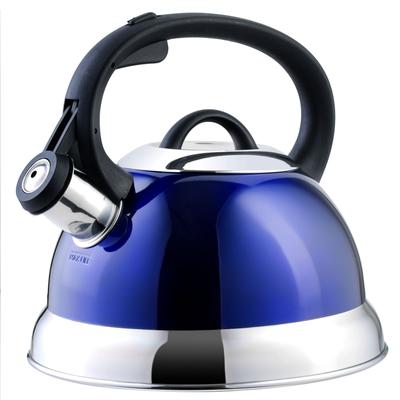 Mr. Coffee Flintshire 1.75 Quart Whistling Stovetop Tea Kettle in Blue - 1.75 Quart