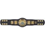 Attitude Era Championship Mini Replica Title Belt