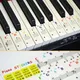 Autocollants transparents pour clavier de piano électronique notes de portée symboles dangers pour