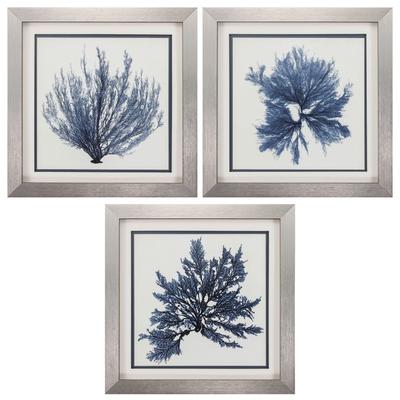 Coastal Seaweed Framed Wall Décor, Set Of 3 by Propac Images in Blue
