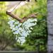 Arlmont & Co. Kyaria Raindrop Butterfly Wind Chime Wood/Glass in Brown | 14 H x 18 W x 1.5 D in | Wayfair 762E484BE21247DCB7CCA65E0B8BF0F7