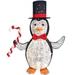 Joiedomi 3FT Tall Multicolored Cotton Penguin With Top Hat Warm White LED Lights, Indoor Outdoor Christmas Decoration