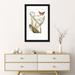 East Urban Home Catesby's Natural History Series 'Monarch Butterfly, Clamshell Orchid & Pleated Orchid' Painting Print on Canvas | Wayfair