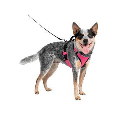 PetSafe EasySport Nylon Reflective Back Clip Dog Harness, Pink, Medium: 26 to 32-in chest