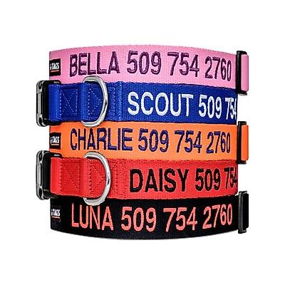 GoTags Nylon Personalized Dog Collar, Blue, X-Small: 8 to 12-in neck, 3/8-in wide