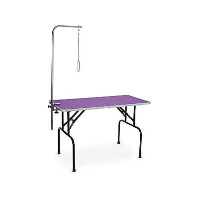 Master Equipment Dog Grooming Table with Arm, Purple, 48-inch
