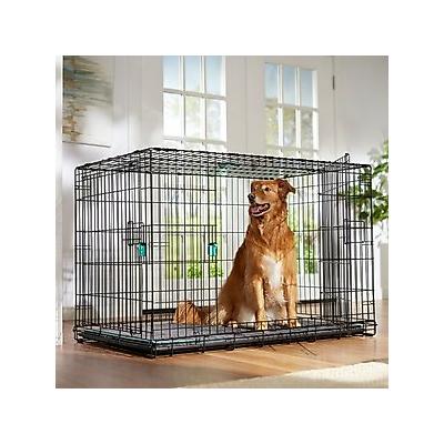 Frisco Heavy Duty Enhanced Lock Double Door Fold & Carry Wire Dog Crate & Mat Kit, Teal, X-Large