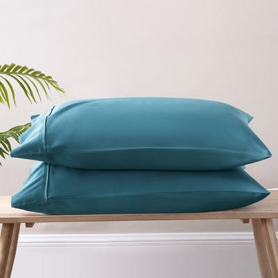 300 Thread Count TENCEL™ Lyocell Sateen Pillowcase Set by BrylaneHome in Teal (Size KING)
