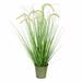 Freeport Park® Cattail Stem Poinsettia in Pot in Green | 36 H x 25 W x 25 D in | Wayfair 4B0B039A5C714AEFAE6AC2035BD04C8D