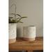 George Oliver Kaesha Ceramic Pot Planter Ceramic | 5.25 H x 5 W x 5 D in | Wayfair D99FD182839C48D59D49581725BE3E5F