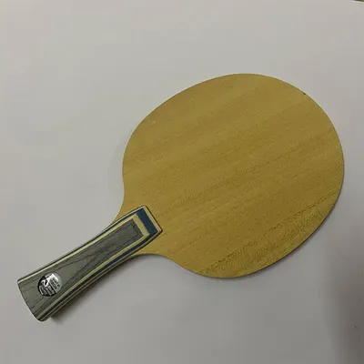 Lame de tennis de table professionnelle en fibre de carbone ALC manche long ou CS ping-pong hors