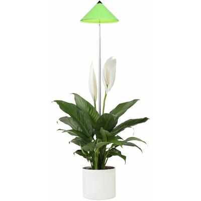 Parus by Venso SUNLiTE 7W led Vollspektrum Pflanzenlampe Grün, Indoor Plants Pflanzen Beleuchtung,