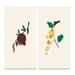 Gracie Oaks Organic Vintage Fruits IV - 2 Piece Graphic Art Set Canvas in Brown/Green/White | 20 H x 24 W x 1 D in | Wayfair