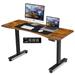 Inbox Zero Kashif 55" Electric Height Adjustable Standing Desk w/ 2 USB Ports, 3 Power Outlets, & 4 Casters Wood/Metal in Black | Wayfair