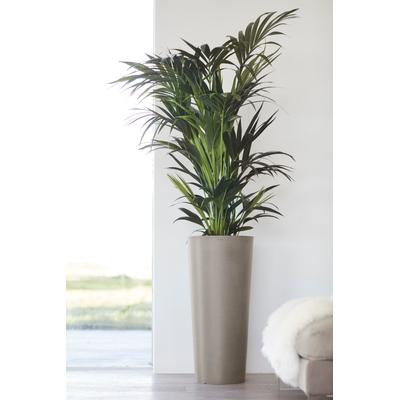 Blumentopf ECOPOTS "Amsterdam", braun (braungrau), H:70cm, Kunststoff, Pflanzgefäße, ØxH: 32x70 cm