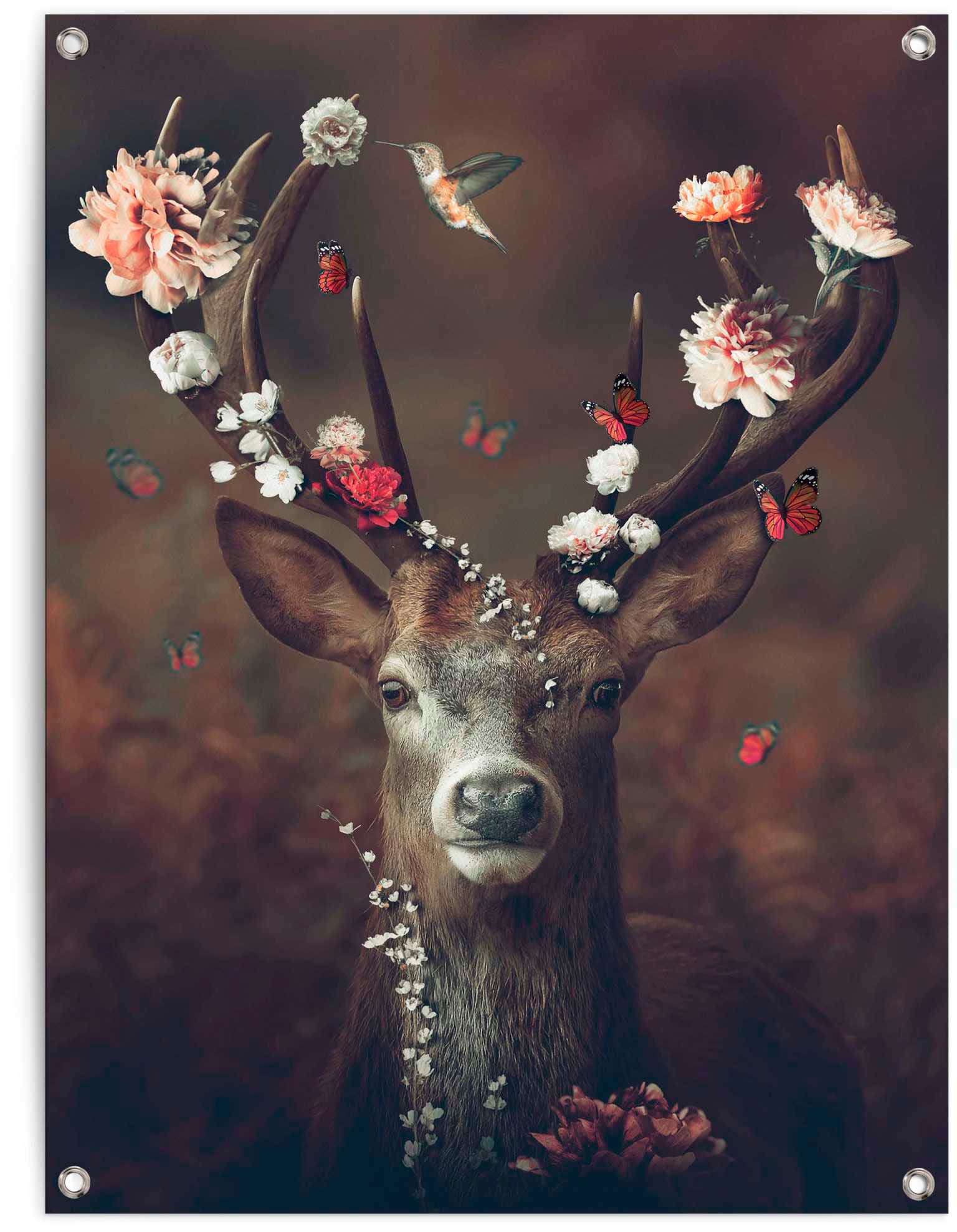 Poster REINDERS "Hirsch", braun (farbe bild(er): braun), B:60cm H:80cm T:0,1cm, Leinwand, Bilder Image