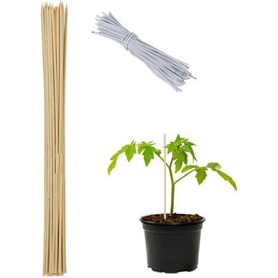 Pflanzstäbe Bambus, 50er Set, HxD: 60 x 0,6 cm, Rankhilfe für Pflanzen, Bambusstäbe mit Bindedraht,