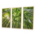 Millwood Pines Peaks Of Bamboo In Kyoto Forest - Forest Framed Canvas Wall Art Set Of 3 Canvas in White | 20 H x 36 W x 1 D in | Wayfair