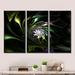 Wrought Studio™ Multi Colored Green Stained Glass - Floral Framed Canvas Wall Art Set Of 3 Metal in Black/Green | 32 H x 48 W x 1 D in | Wayfair