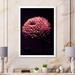 Ebern Designs Burgundy Abstract Flower - Modern Canvas Wall Decor Canvas in Black/Pink | 12 H x 8 W in | Wayfair 1507394F5F8E418AA4B5B94750D0C928