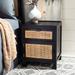 SAFAVIEH Dave Coastal 1-Drawer 1-Door Nightstand