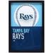 Tampa Bay Rays 12'' x 17'' Glass Framed Sign