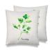 Gracie Oaks Herb Throw Pillow Cover & Insert - Set Of 2 18.0 H x 18.0 W x 3.0 D in green/white/Polyfill/ | 18" H X 18" W X 3" D | Wayfair