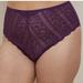 Torrid Intimates & Sleepwear | New Torrid Lace High Waist Keyhole Panties | Color: Purple | Size: 4x