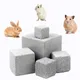 Petits animaux minéraux naturels pierre molaire gris trou carré jouet molaire lapin cochon d'inde